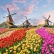 Tulipánok országa Hollandia - Benelux körutazás