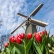 A tulipánok és szélmalmok földjén - csoportos utazás Hollandiába magyar idegenvezetéssel 2024.05.09-12.