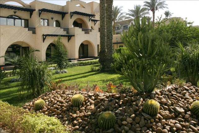 Hotel Oasis 4* - Nílusi hajó 5* - Hotel Jaz Aquamarine 5* Hurghada