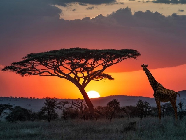 Serengeti & Ngorongoro Nemzeti Park Szafari, nyaralással Zanzibáron 