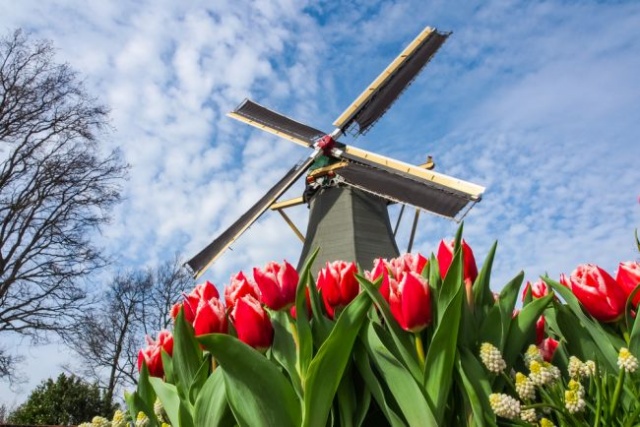 A tulipánok és szélmalmok földjén - csoportos utazás Hollandiába magyar idegenvezetéssel 2023.04.21-24.