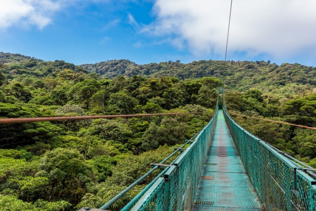 Costa Rica körutazás Nemzeti parkok vonzásában