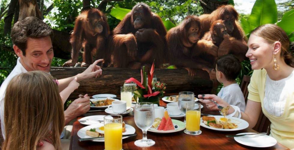 Обед в зоопарке